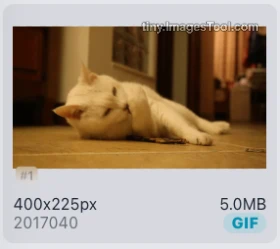 gif-compressor-test-2 Images Converter