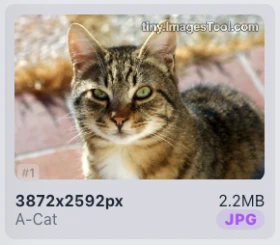 jpg-compressor-test-2 Images Converter